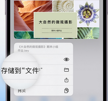 福山apple维修中心分享iPhone文件应用中存储和找到下载文件