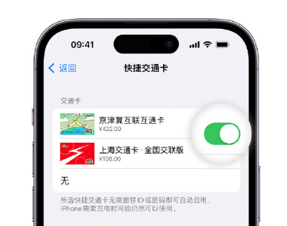 福山apple维修点分享iPhone上更换Apple Pay快捷交通卡手绘卡面 