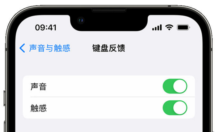 福山苹果手机维修分享iPhone 14触感键盘使用方法 