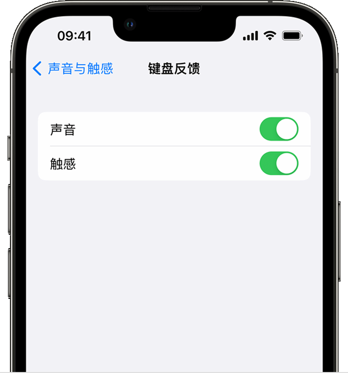 福山苹果14维修店分享如何在 iPhone 14 机型中使用触感键盘 